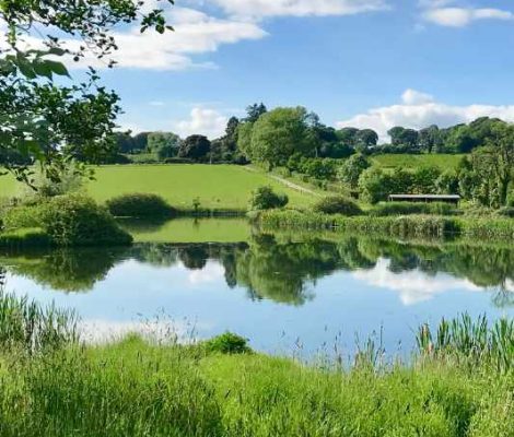 Fishing Lake Kildare